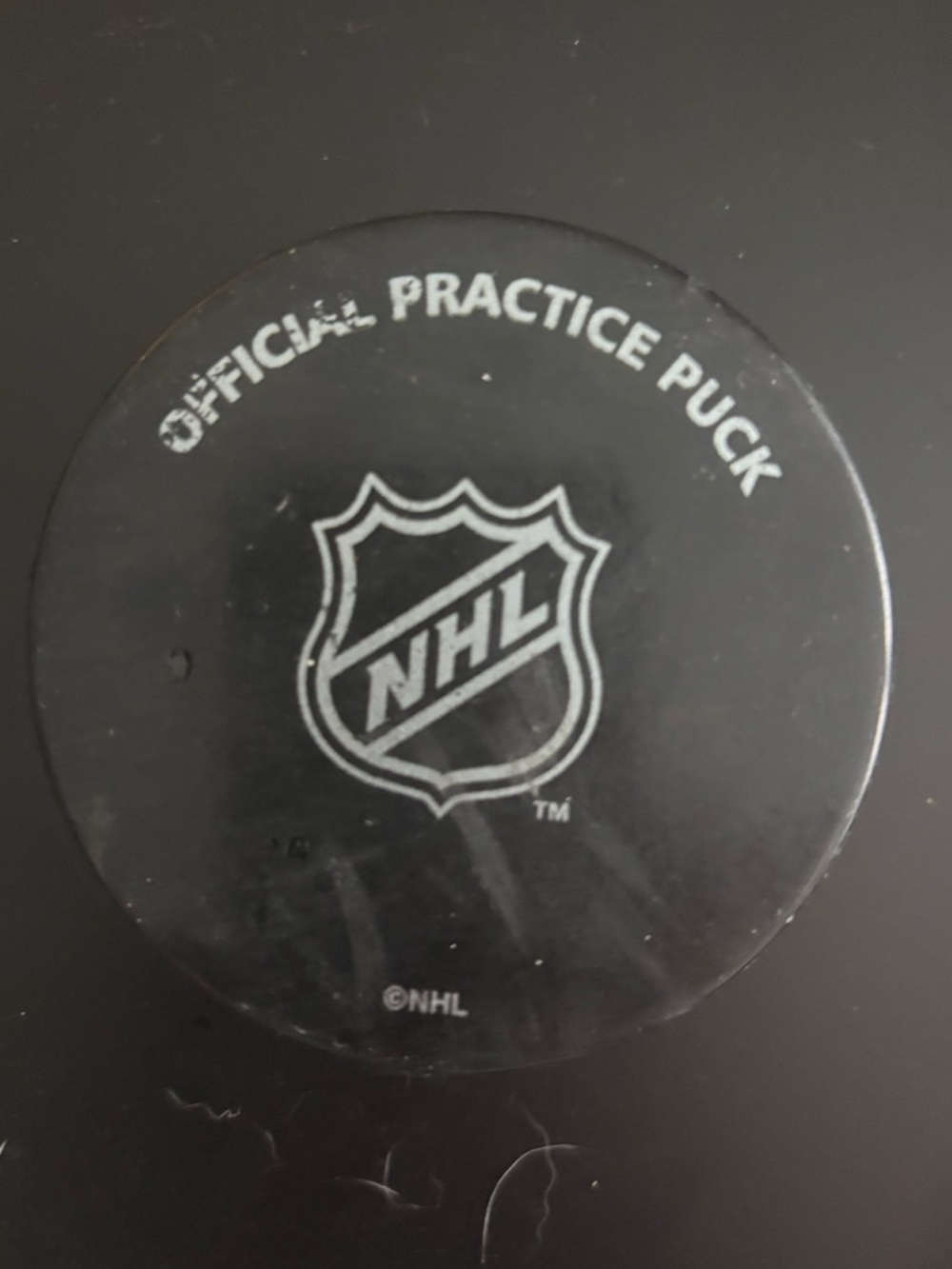 NHL Official Practice Puck From NJ Devils Practice